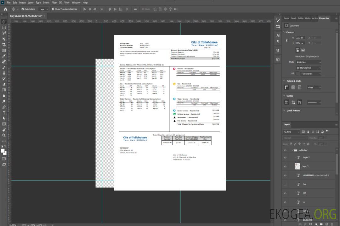 Floride Ville de Tallahassee Floride Votre propre facture commerciale de services publics, SCR template